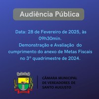 Audiência Pública 28/02/2025